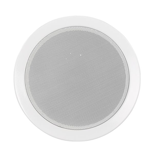AE06 ceiling speaker-04