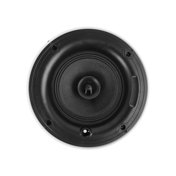 ARS25TH-ceiling-speaker-2