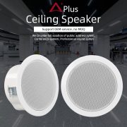 ceiling-speaker-AEH06-2